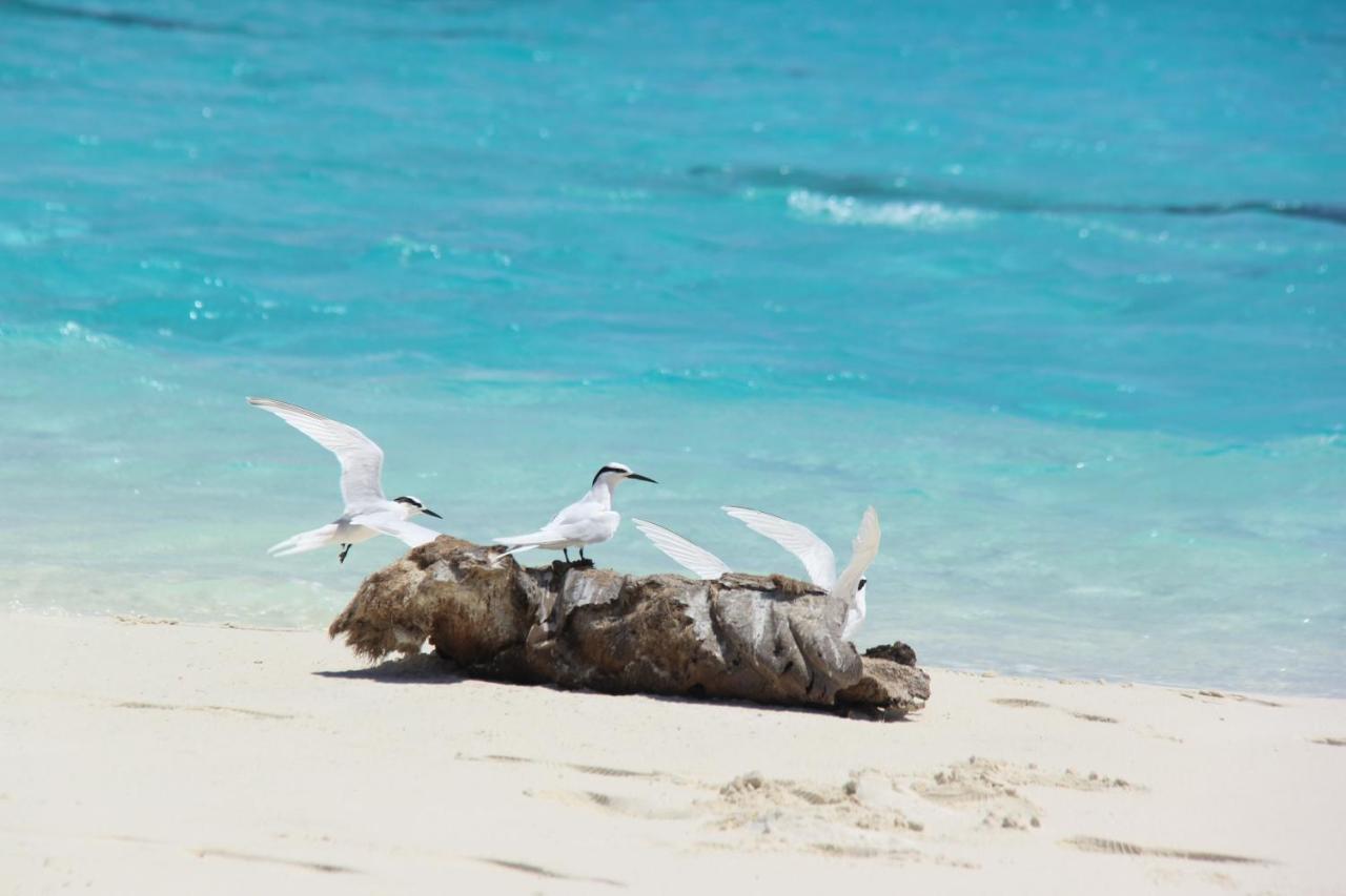 Brickwood Rasdhoo- Beach Front 外观 照片