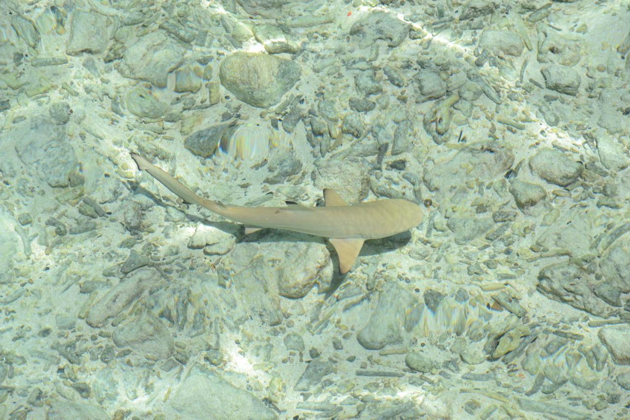 Brickwood Rasdhoo- Beach Front 外观 照片